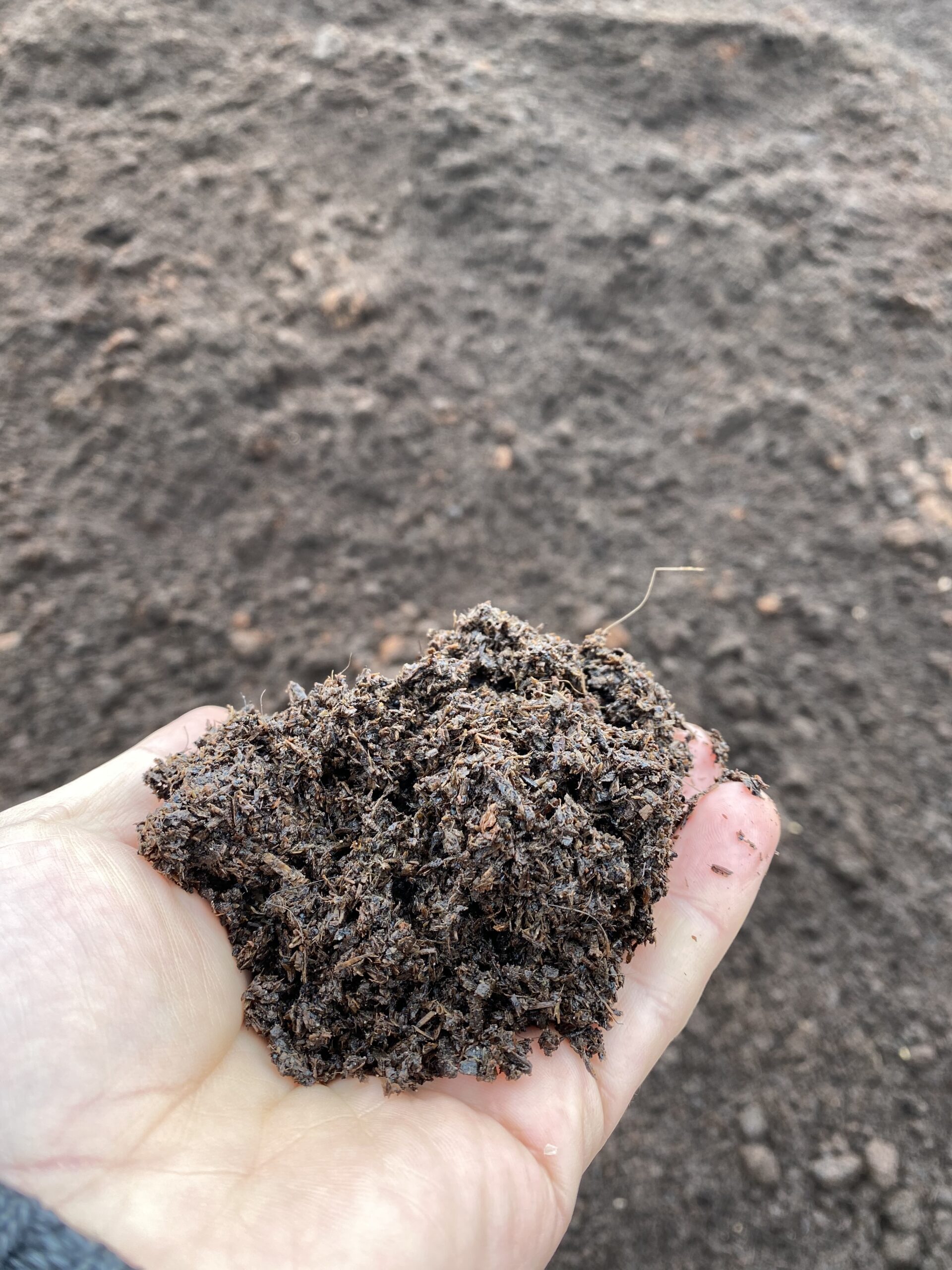 Humus erkennen und riechen - Hand mit frischem Humus