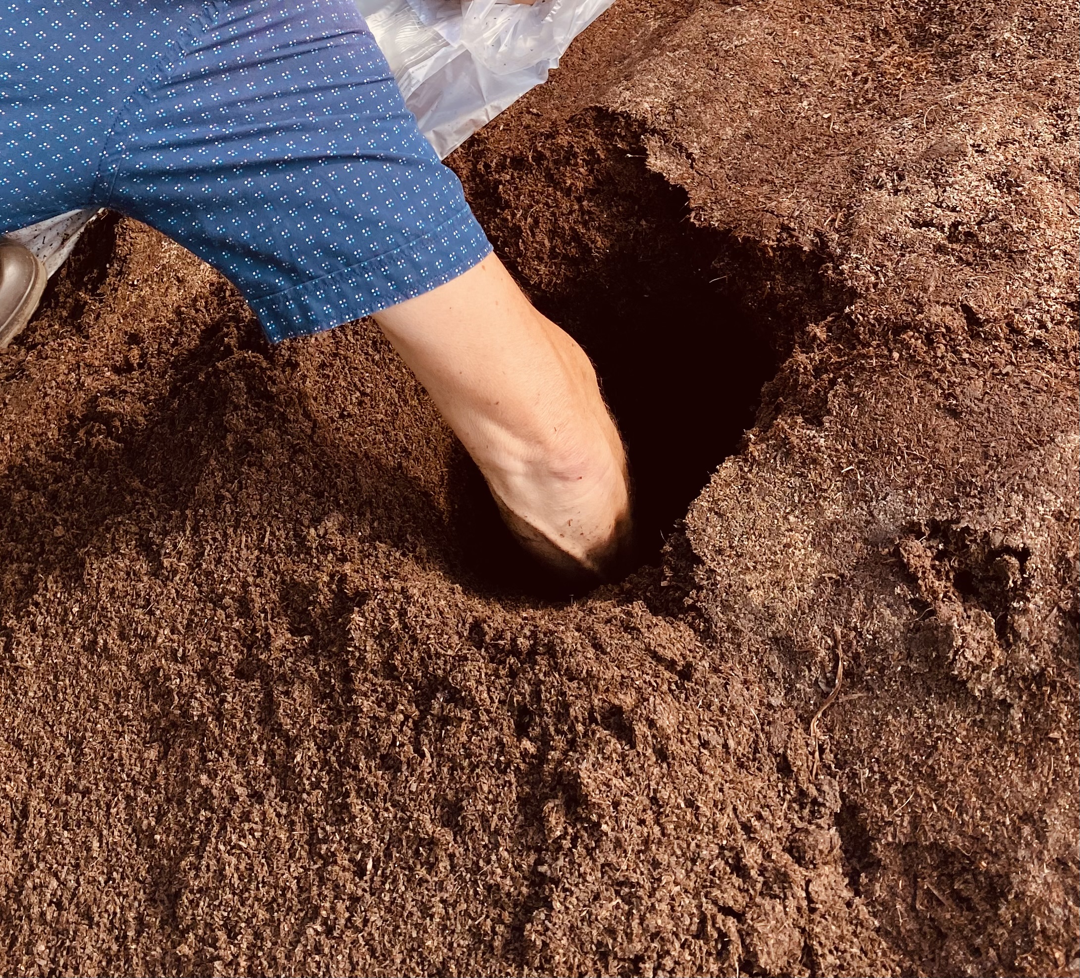 Bodenprobe und MBT-Prozess