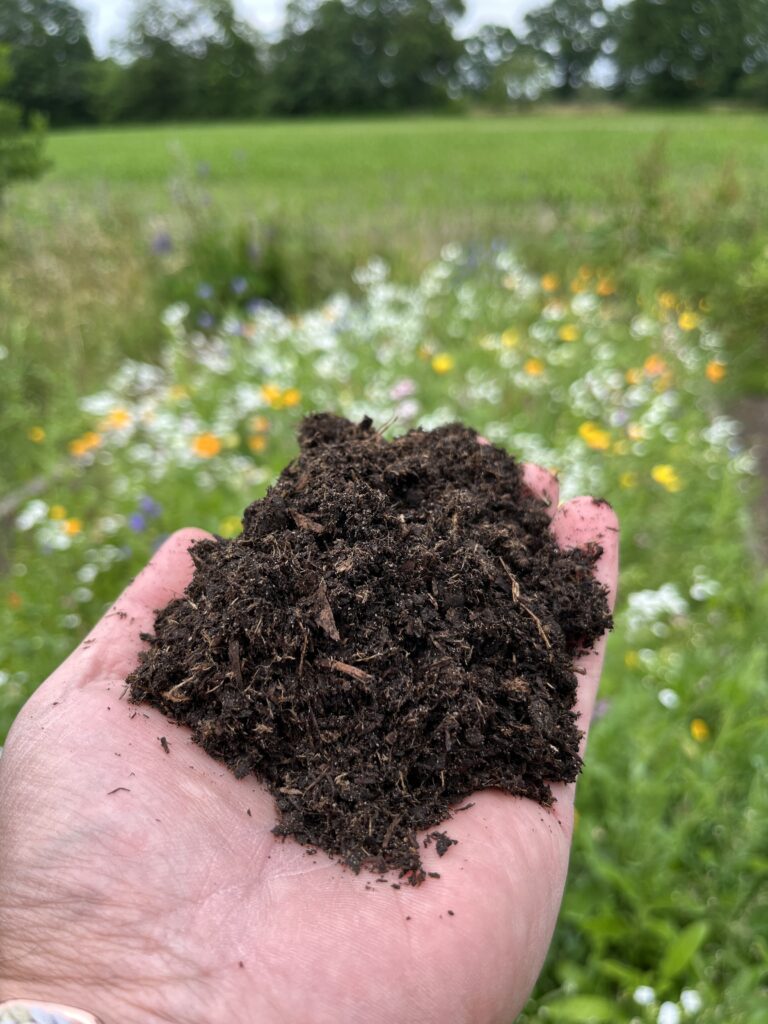 Hand hält humusreiche Erde über einer blühenden Wiese