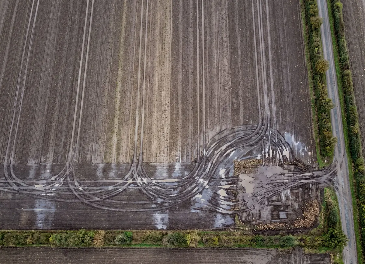 Luftbild eines Ackers nach der Rübenernte mit sich kreuzenden Fahrspuren am Vorgewende