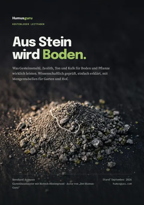Gesteinsmehl und Mineralien