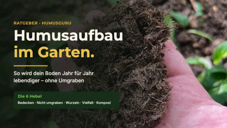 Hand mit krümeliger Humuserde über einem Gartenbeet