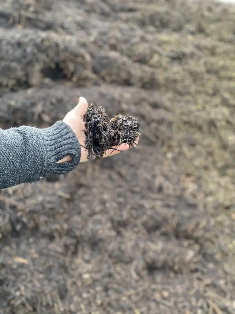 Hand hält dunkles Material mit wenigen Fasern über einer Miete