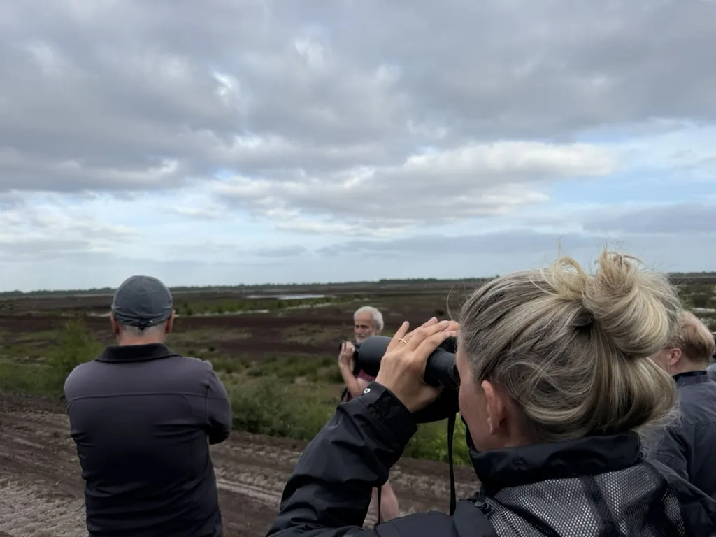 Exkursionsgruppe mit Fernglas am Rand einer Moorfläche