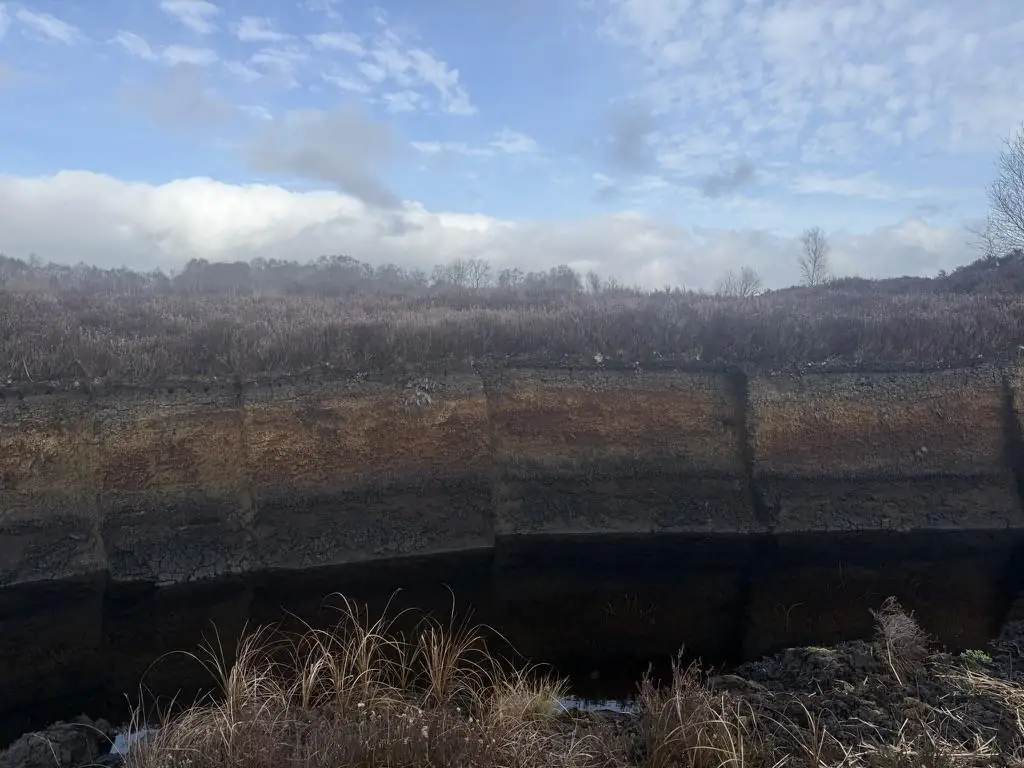 Senkrechte Torfwand im Hochmoor mit hellbraunen und dunklen Schichten, oben Heide, unten Wasser im Graben